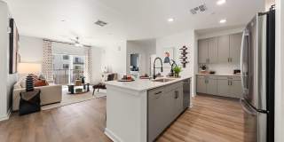 Alta Dove Valley Gallery 1