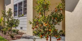 Lincoln Place Apartment Homes Gallery 25