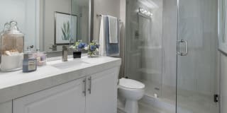 Sunrise Harbor Gallery 12