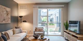 Aster at the Summit Gallery 4