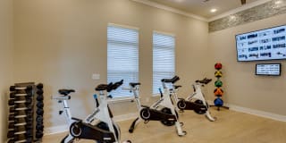 Vintage Amelia Island Apartments Gallery 17