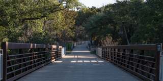 Windsor Burnet Gallery 51