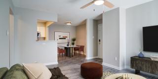 Rutland Place Gallery 5