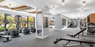 475 Clermont Gallery 10