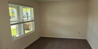 31375 PENNY SURF LOOP Gallery 11