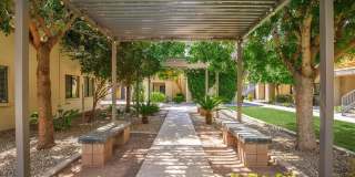 Palm Desert Gallery 16