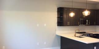 1615 Ogden Street Gallery 12
