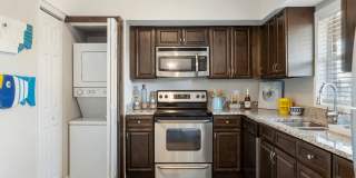 Sea Oats Sea Oats Gallery 88