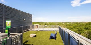 The Lindley Gallery 39