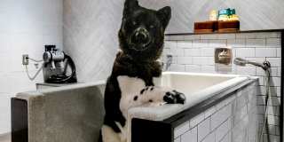 Hanover Turtle Creek Hanover Turtle Creek Gallery 10