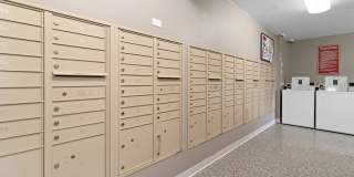 East Wind Gallery 25