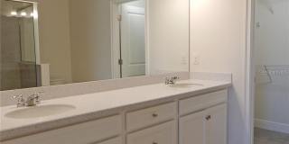 10115 NEWEL VALLEY LOOP Gallery 15