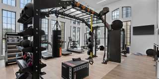 Lively at Drayton Mills Gallery 32