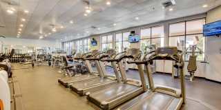 11073 Harbour Springs Circle Gallery 54