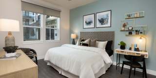 Alexan Junction Heights Gallery 11