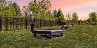 The Ascent Plainfield Gallery 30