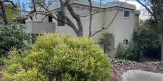 1865 Golden Rain Rd Gallery 24