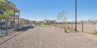 Springs at Stadium Village Gallery 19