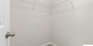 17 Seville Orange Path Gallery 20