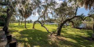 Live Wilder: Historic Charm Steps from Tampa’s Trendiest Restaurants Live Wilder: Historic Charm Steps from Tampa’s Trendiest Restaurants Gallery 21