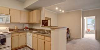 Woodland Park Gallery 3