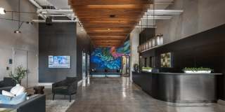 Alder at Allston Yards Gallery 29