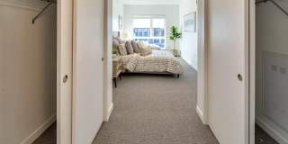 Cypress Gallery 10