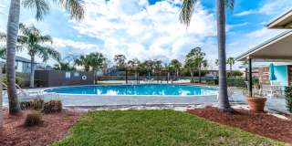 Sea Oats Sea Oats Gallery 39