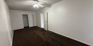 Pendleton 4350 Gallery 1