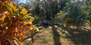 Bring your dog!  2 bedroom, 2 bath, Single family home in South Venice Gallery 34