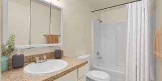 Mountain View Terrace Gallery 25