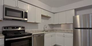 Waverly Flatz Gallery 4