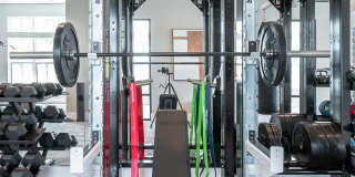 Alta Citron Gallery 34