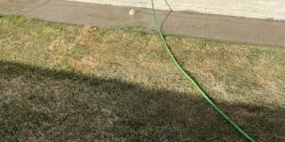 5013 Joe Castillo St Gallery 26