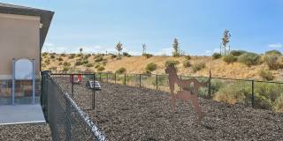 Triton Terrace Gallery 28