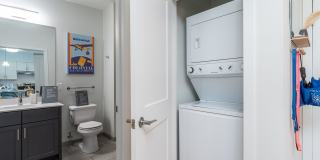 The Mastlight Gallery 42