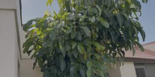 1985 Northeast Collins Circle Gallery 1