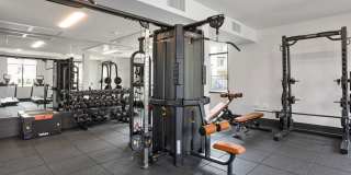 Alta Westwind Gallery 9