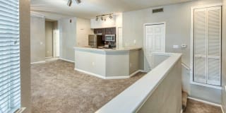 RiverTree Gallery 16