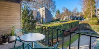 Garden Park Gallery 9