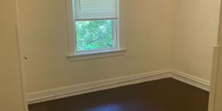 Treetop views in North Avondale Gallery 14