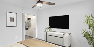 Palm Trace Landings Gallery 91