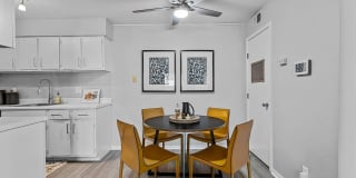 Raindance Gallery 25
