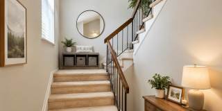 270 Tulip Lane Gallery 8