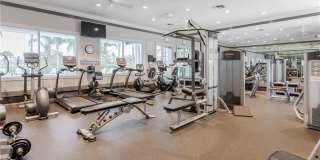 28700 Alessandria Cir Gallery 49