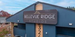 Bellevue Ridge Gallery 6