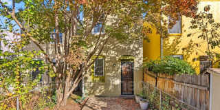 1309 Emerald St. NE Gallery 26