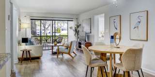 Emerald Palms Gallery 8