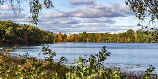 The Buckley Gallery 38