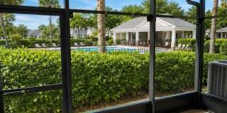 10222 PINK PALMATA COURT Gallery 27